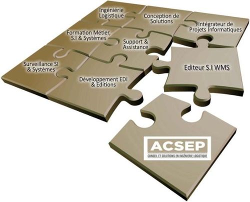 ACSEP mutualise un ensemble de comptences stratgiques et une exprience oprationnelle trs forte des systmes d'information