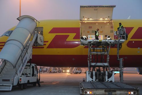Les deux VIP (ou « Very Important Pandas ») ont fait le voyage entre la Chine et la Belgique à bord d'un avion cargo DHL spécial de type Boeing 767