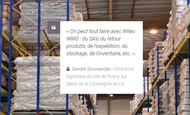 Sandra Siounandan, directrice logistique du site de Rosny sur Seine, partage son retour d’expérience sur Wileo WMS.