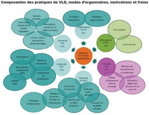 Composantes des pratiques de VLD, modes d’organisation, motivations et freins
