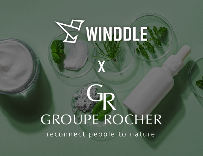 Winddle accompagne la transformation des processus Achats & Supply Chain du Groupe Rocher