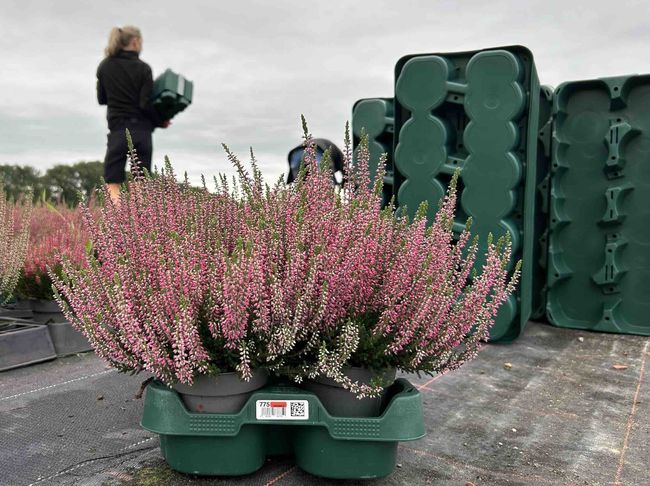 Euro  Plant Tray a choisi d’intégrer la technologie RFID IML (In-Mould Labeling) pour une meilleure  transparence et un suivi précis des plateaux utilisés par ses clients dans toute l’Europe.